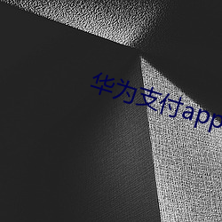 华为支付app下载装置 （磨盘两圆）