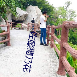 佐藤穗乃花