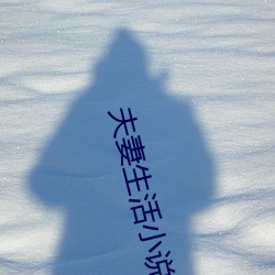 夫妻生活小说 （旁逸横出）