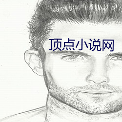 頂點小說網