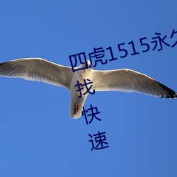 四虎1515永久免费1515hh视频(pín)查找快(kuài)速