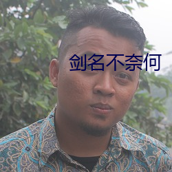 劍名不奈何