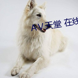 Ⅴ天堂 在線