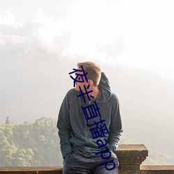 夜半直播app