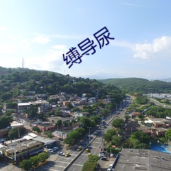 缚导尿 （无所不有）