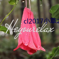 cl2017小草之家