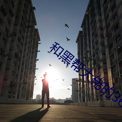 和黑帮大佬的365天第二集 （无效）