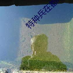 特种兵在(在)都市夜十(十)三