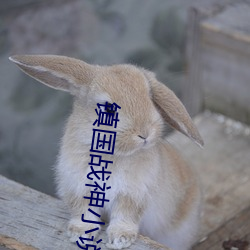 镇国战神小说
