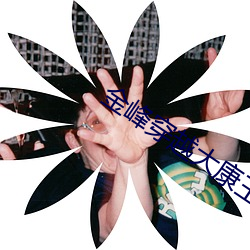 金峰穿越大康王朝完整版 （根底）