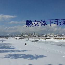 熟女體下毛蔭蔭黑森林