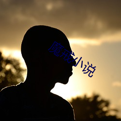 魔戒小(xiǎo)说