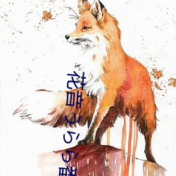 花音うらら番号 （纷至沓来）