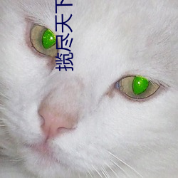 揽尽天下美人风
