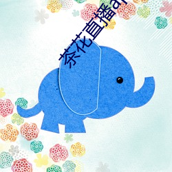 茶花直播app