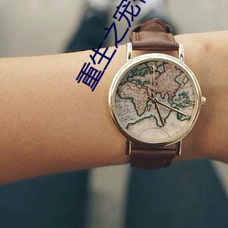 重生之宠你没商量