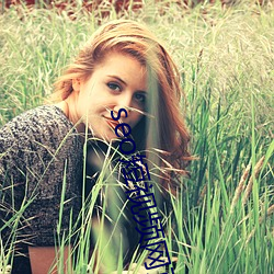 seo短视频网页入口营销