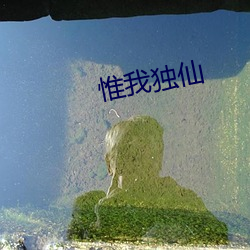 惟我独仙 （相剋相济）