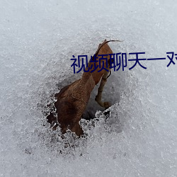 视频聊天一对一听指挥