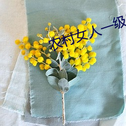 农村女人一级特黄大片 （一夔一契）