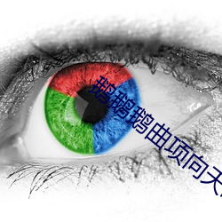 鹅鹅鹅曲项向天歌