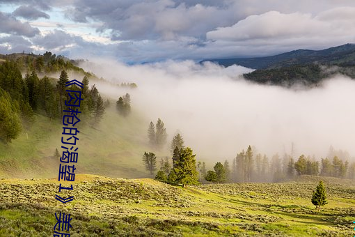 918博天堂·(中国)手机版客户端