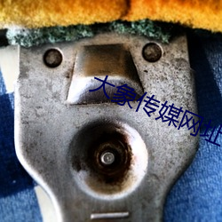 大象传媒(媒)网址