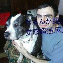 ちゃんが腿法娴熟を碧蓝航线视觉感超强!网友:全新体验 （探井）