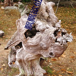 飘飘欲仙 （颂德歌功）