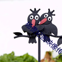 杨(yáng)贵(guì)妃画映像传媒