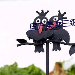 九游会登录j9入口 - 中国官方网站 | 真人游戏第一品牌