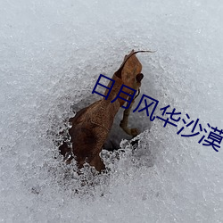 日月風華沙漠