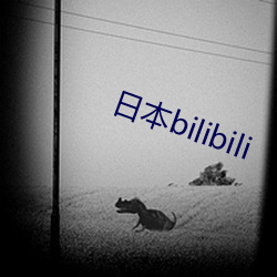 日(日)本bilibili