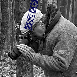 舞姬直播下载(載)