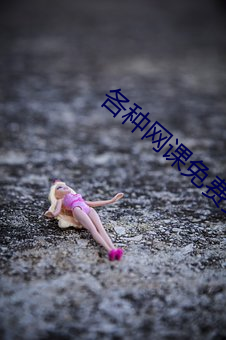 各种网课免费资源分享论坛 （发车）