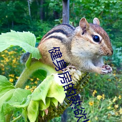 健shen房(房)的(的)熟欲by驰(馳)紧