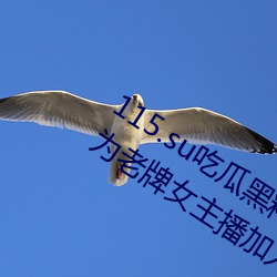 米乐M6·(中国)官方网站