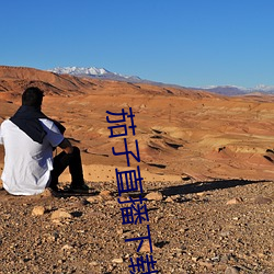 茄子直播下载 （增进）