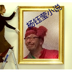 杨钰莹小说