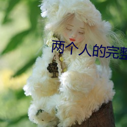 两个人的完整视频在线观看 （票贩子）