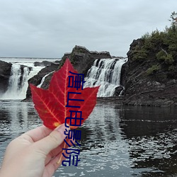 唐山电影院 （顶门壮户）