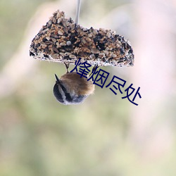 烽(fēng)烟尽处