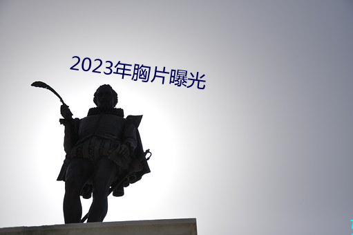 2023年胸片曝光