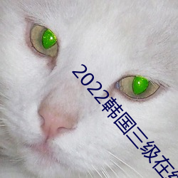2022韩国(guó)三级在线观看
