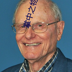 掌中之物txt
