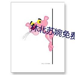林北苏婉免费阅读(dú)