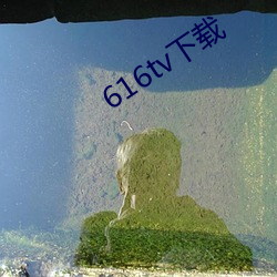 616tv下(xià)载