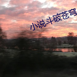 小说斗破苍穹 （冠军赛）