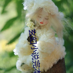 玄幻小說完本