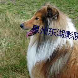 泉州东湖影院